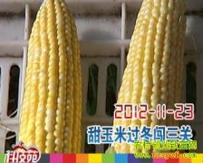 �����׹���������(20121123)