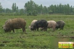 ����֮�ʹ�������֮�ƣ�20121127��