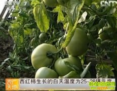 �ﶬ����������������ڹ���(20121128)