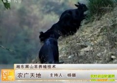 �涫��ɽ����ֳ����(20121202)