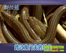 [�Ƽ�Է]������Źص�����