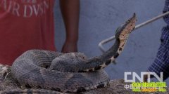 ���岽��ҧ�к��岽��׬Ǯ(20121130)