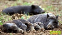 ���ӿ��� Ұ��׬Ǯ(20121125)