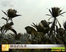 [ÿ��ũ��]��ֲ����׬Ǯ��׬Ǯ�İ���