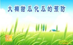 ������ϻ��ϵ�Ԥ��(20121205)