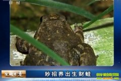 ��������������(20121205)