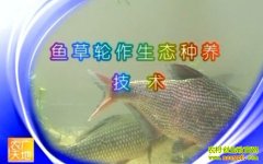 ���������̬��������(20121205)