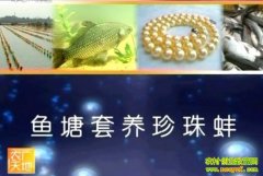 �������������(20121205)