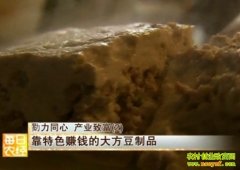 ����ɫ׬Ǯ�Ĵ󷽶���Ʒ(20121205)