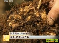 ���۸ߵ�������(20121206)