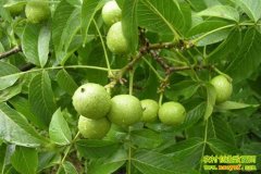 �ô�һ�á���������(20121111)