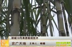 ���18�Ź������༼��(20121207)