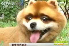 ����Ȯ�����(20121206)