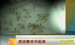 �������������(20121206)