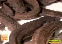 �������ν�����ũǮ����(20121104)