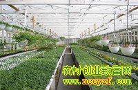 ����׬Ǯ�Ĵ�����ֲƷ��(��9��)