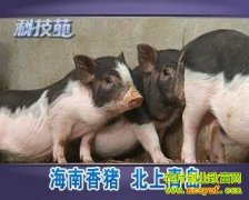 [�Ƽ�Է������]�������� �����ൺ