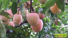 ƻ����������ô��(20121211)