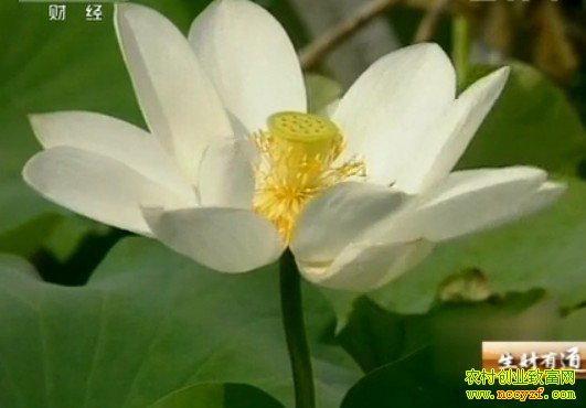 �ƶ�ź�� �ȶ�����(20121212)