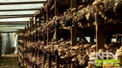 ��н�������������ĲƸ�(20121213)