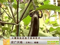 �������Ӻ��������༼��(20121214)