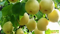 �ƽ��泤��ƿ���������ƽ��(20121216)