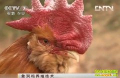 �󶴼���ֳ����(20121218)