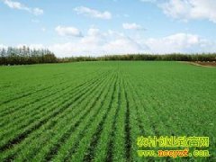 ��С��߲����༼��(��9��)