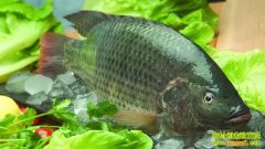 �����޷�����ֳ����(20130113)