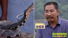 ��˳�����岽��ҧ�к��岽��׬Ǯ