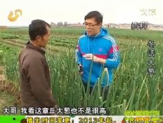 ũ��ֱ����20121227���������