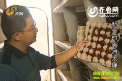 ũ��ֱ����20121226����������޴��