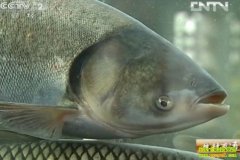 ��ˮ���� ��ͨ����(20130116)