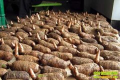 ����������(20130118)