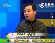 ũ��ֱ����20130121������ר�� ��ѩǿ