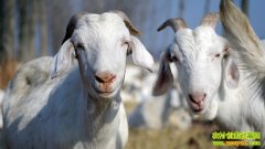 ����ɽ����ֳ����(20130226)