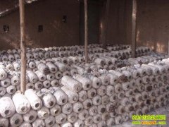 �������ֳ����ƹ�(20130304)