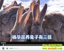 ���������������(20130308)