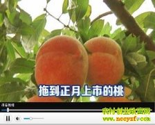 �ϵ��������е���(20130307)