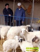 ̲������ĲƸ�����(20130308)