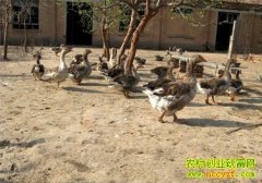 [�����е�]�������������޵����㾭