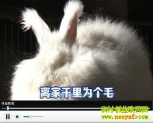 ���ǧ��Ϊ��ë(20130314)