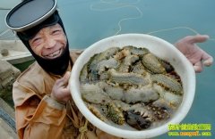 Ͷʯ�뺣�����ĲƸ�(20130320)