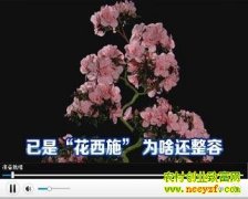 ���ǡ�����ʩ��Ϊɶ������(20130329)