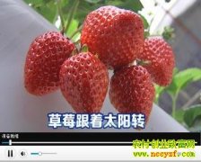 ��ݮ����̫��ת(20130408)