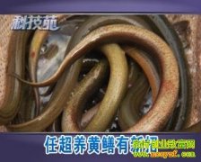 [�Ƽ�Է]�γ�������������