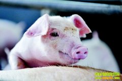 ������ֳ����֮��(20130416)