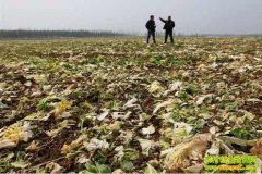 ���Ϻ��ٻٲ��¼���˼��(20130415)