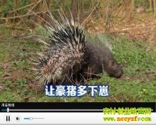 ���������� ����ɶ�ֶ�(20130418)