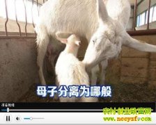 ��Ҫ������Ҫ���(20130426)